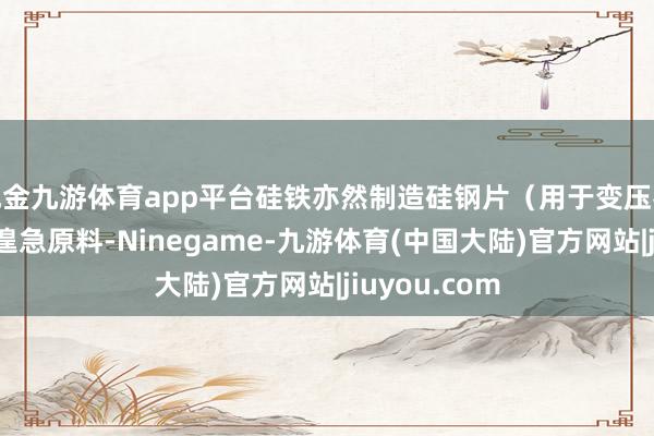 现金九游体育app平台硅铁亦然制造硅钢片（用于变压器和电机）的遑急原料-Ninegame-九游体育(中国大陆)官方网站|jiuyou.com
